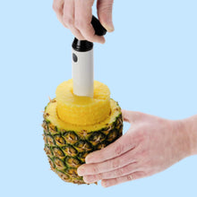 Pineapple Corer Slicer Peeler Cutter